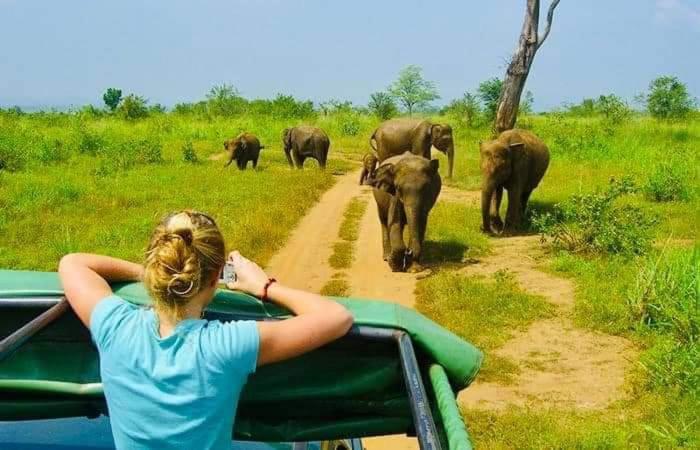 Amron Resort Sigiriya Bilik gambar